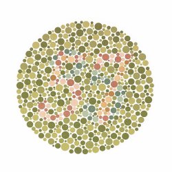 Ishihara Colour Tests 38 Plates