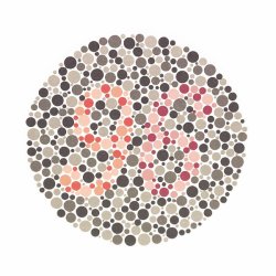 Ishihara Colour Tests 38 Plates