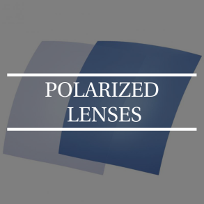 Polarized lenses              