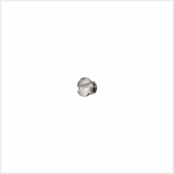 Retaining Screw 