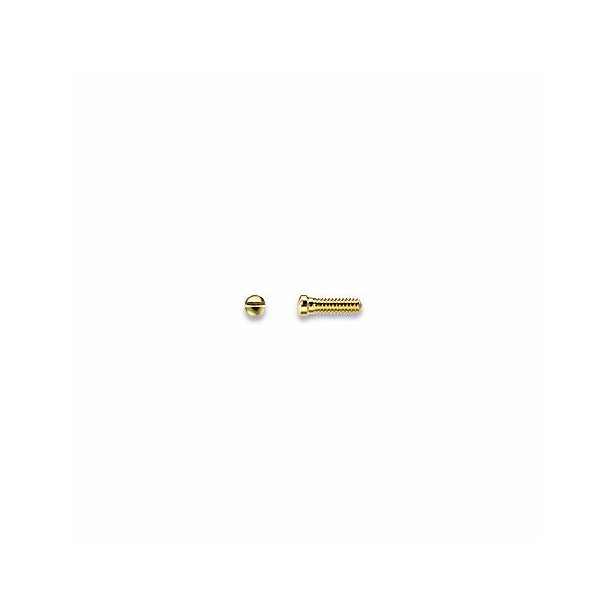 Silver screws for metal - 100 Pcs. 1.40mm|1,8|5,5mm|Guld