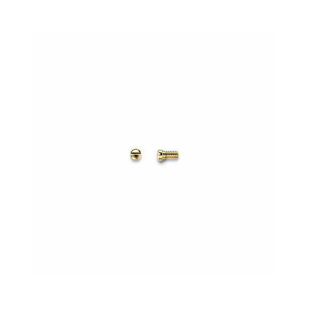 Silver screws for metal - 100 Pcs. 1.40mm|1,8|3,6mm|Guld