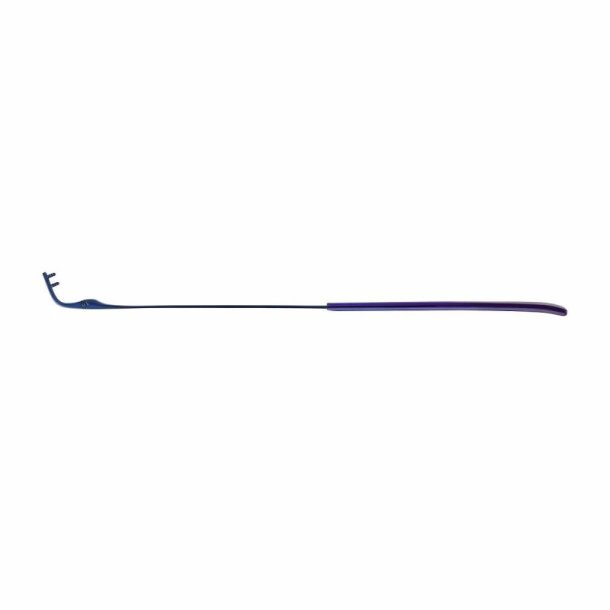 Titanium sides blue for rimless frames
