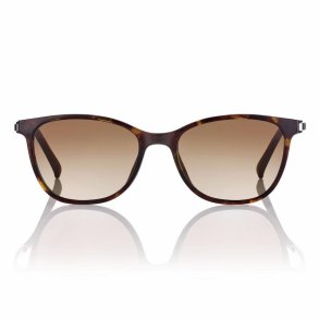 SHINY DEMI WITH GR.BROWN LENS53 magnetic clip-on with case