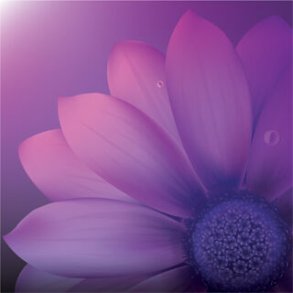 CLOTH: PETALS 6x7 PINKED W/CASE