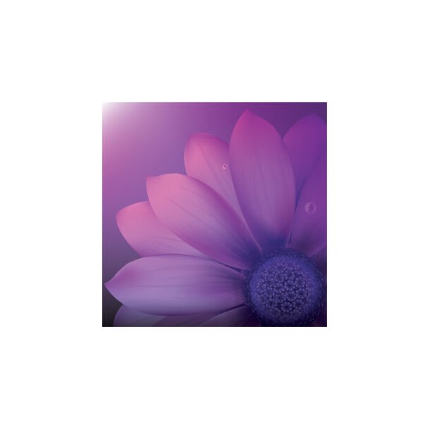 CLOTH: PETALS 6x7 PINKED W/CASE