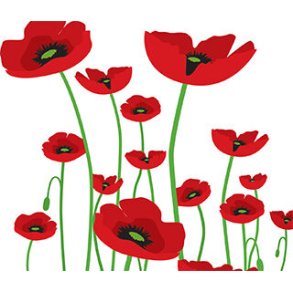 CLOTH:PATTERN 6X7 SPR 2013 SPRING POPPIES