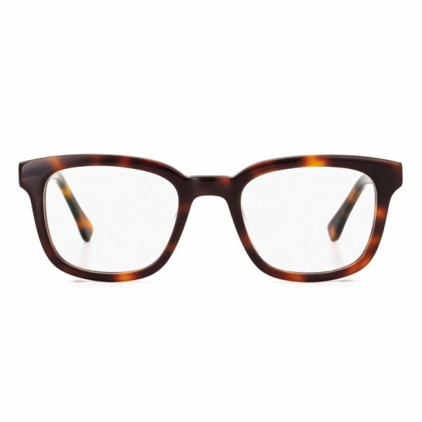 AIRPORT TOKYO shiny demi 50 21-145 Man acetate frame w.case
