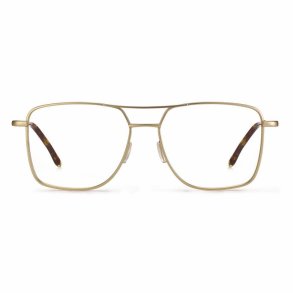 Matt gold 54 15-145 titanium AIRPORT frame for man w.case