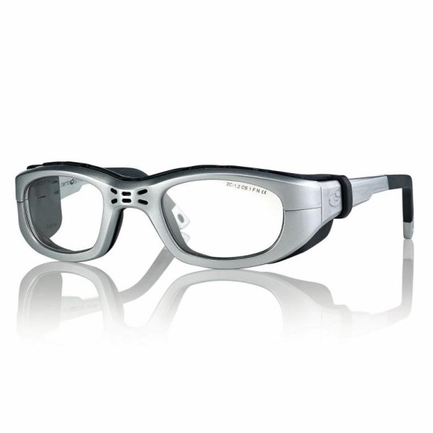 Shiny silver/black Sport Frame51-23-130 with case