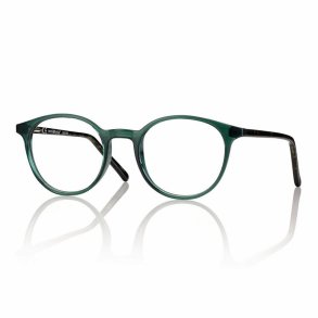 Shiny green/demi 48 20-140 TR90/acetate Unisex frame w. case