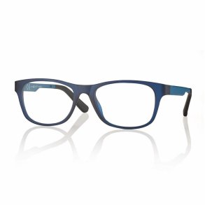 Matt blue 52 17-145 Unisex Ultem frame + case