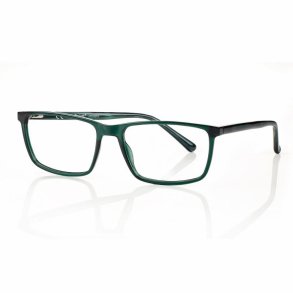 Shiny Green/Demi Man Frame TR90/Acetate 58 17-150+ Case