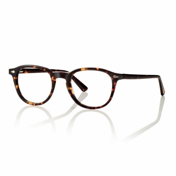ACETATE FRAME UNISEX SHINY DEMI 50+ MAGN. CLIP-ON G15 LENS