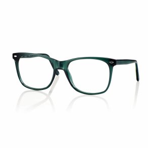 Shiny Green/Demi 55 18-150 TR90/Acetate unisex + Case