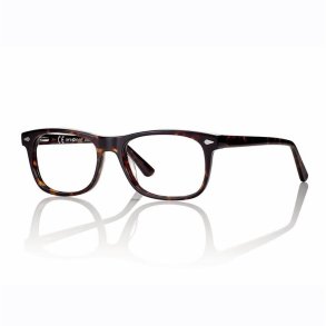 Shiny Demi Acetate unisex 54 w/G15 magnetic clip-on