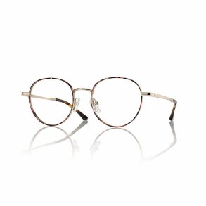 SHINY DEMI GOLD 48 18-135 UNISEX TITANIUM TEEN FRAME