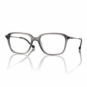 SH GREY/MT GUNMETAL 54 18-145Frame Neyeture Men