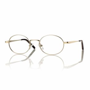 GOLD 49 21-140 METAL FRAME + clip on. G15 LENS
