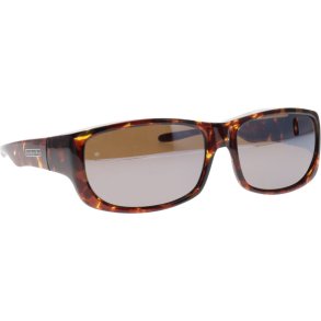 JPE: PANDERA SHINY TORTOISE POLARVUE AMBER