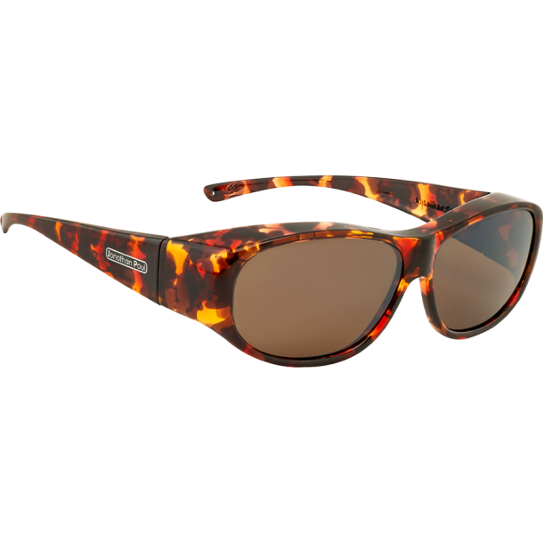 JPE: SUNNI LARGE TORTOISE POLARVUE AMBER