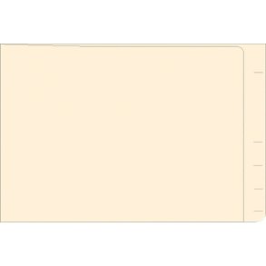 MINI END-TAB FOLDER POCKET, 100 BOX