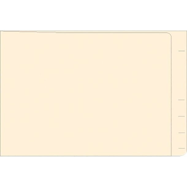 MINI END-TAB FOLDER POCKET, 100 BOX