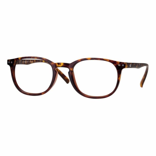 Set6 +1,0/+3,50D MattDemi 48 20-145plast.unisex Read.Glasses