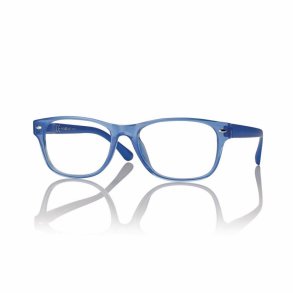 +2.50 SHINY BLUE 53-17-145 UNISEX PLASTIC READER