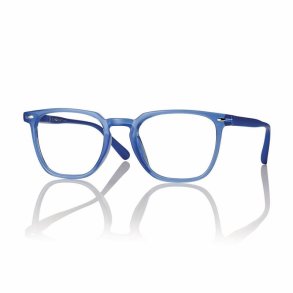 +1.50 SHINY BLUE 50 20-145 UNISEX PLASTIC READER