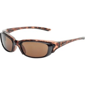 RX SUN - ELEMENT TORTOISE BASIC PACKAGE