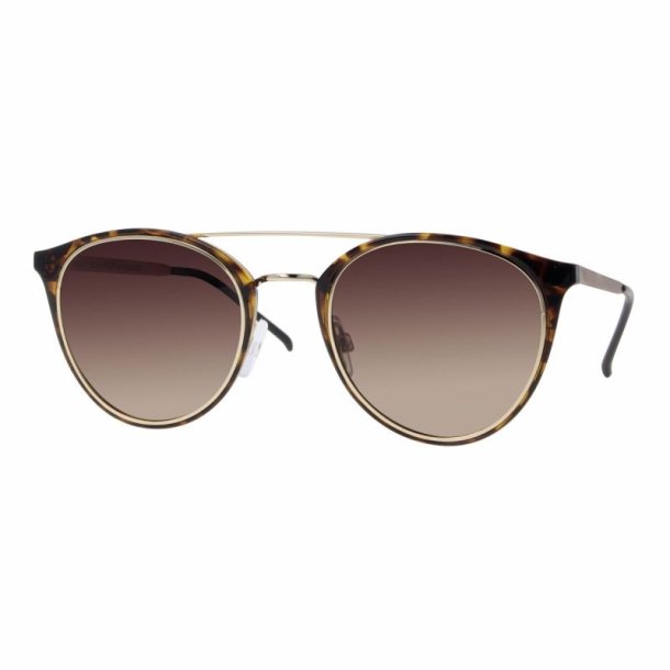 Brown tr.demi/gold temples51 21-145 Sungl.grad.brown lenses