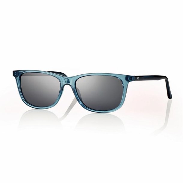 Shiny petrol/demi Unisex sunglasses 54 16-145 smoke lenses