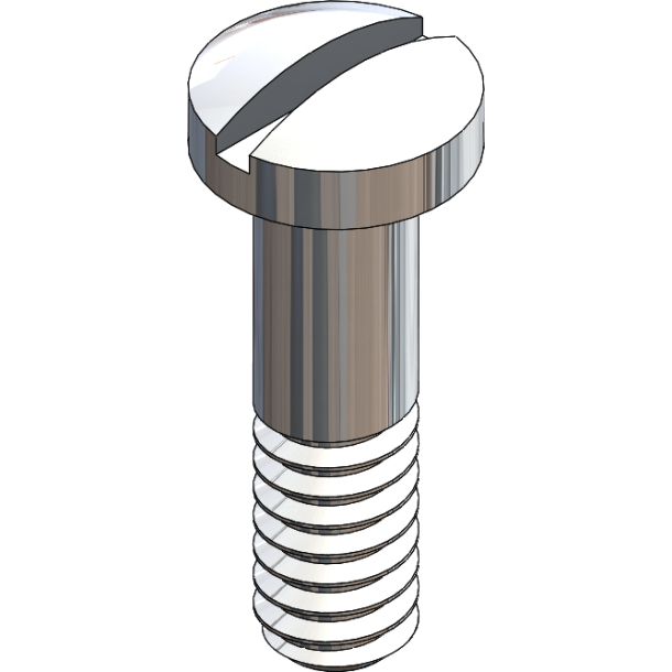 SCR:DURATEC,SLT,6.0X1.4, SIL,S.S.,25-PCS