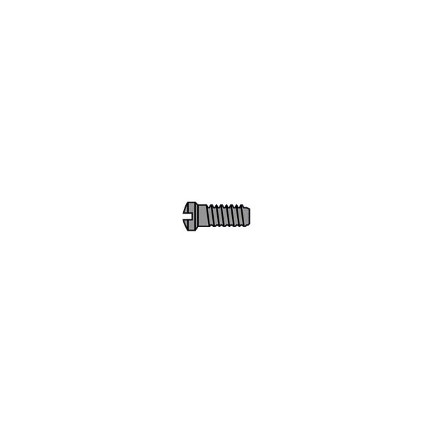 SCR:EYE,1.4DIA,BLK-250