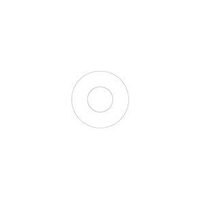 WSHR:LENS,FACETED-25