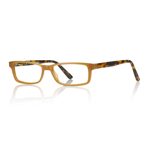 Shiny honey/demi 52 15-150 TR90/acetate half-eye man