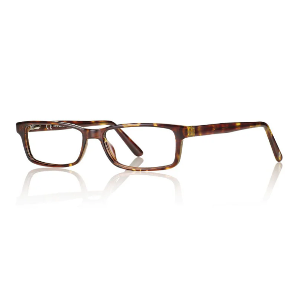 Shiny demi 52 15-150 TR90/acetate half-eye man