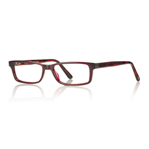 Shiny red/demi 52 15-150 TR90/acetate half-eye man