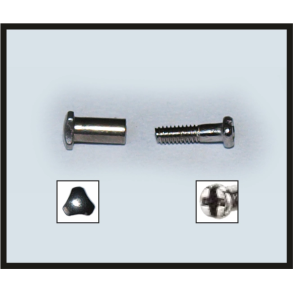 Screws + nuts for ultem frames